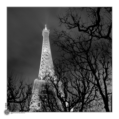 Tour Eiffel dans les arbres