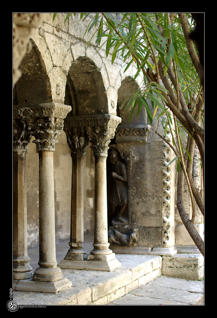 Cloître Saint Trophime