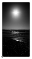 Baie de somme sous le soleil