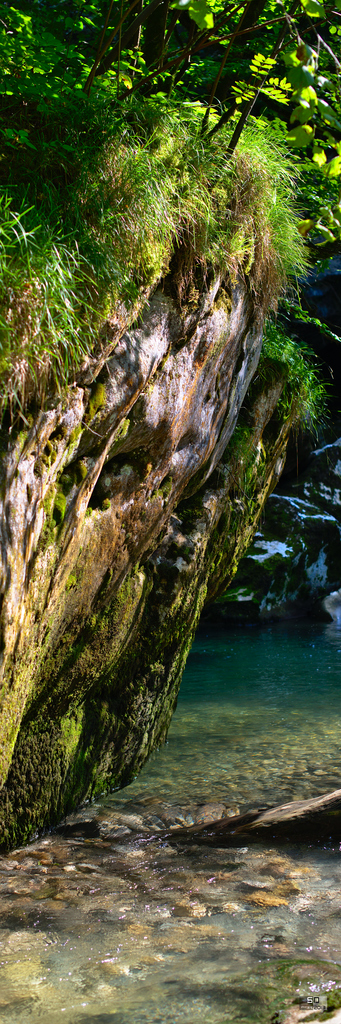 Cascade de verdure