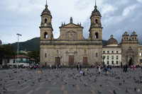 Catedral Primada