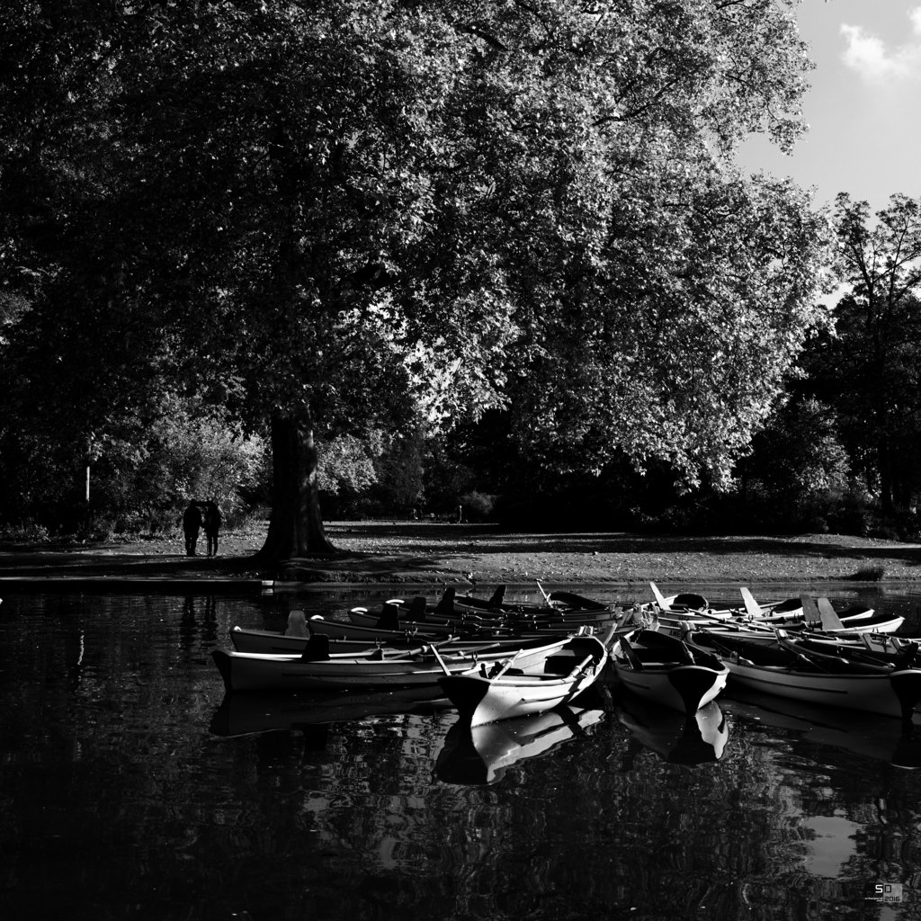 Barques sur le lac