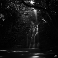 Cascada del Arbol