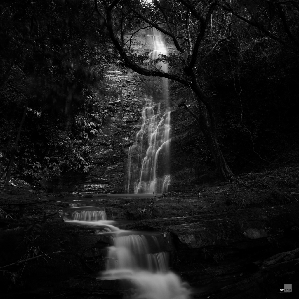 Cascada del Arbol